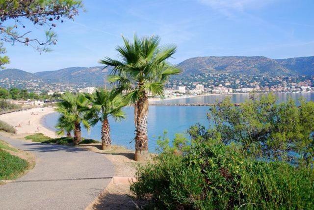 Photo of Outdoor in La Faviere