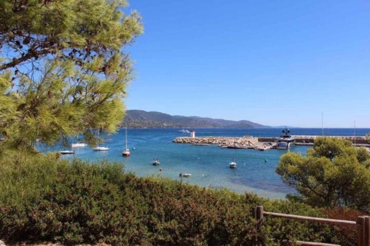 Photo of Outdoor in La Faviere