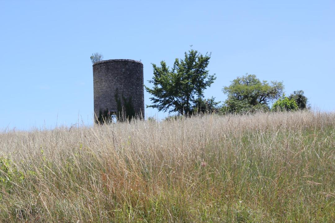 Photo of Others in Bordeaux
