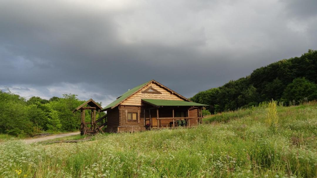Photo of Buildings in Zhiguli