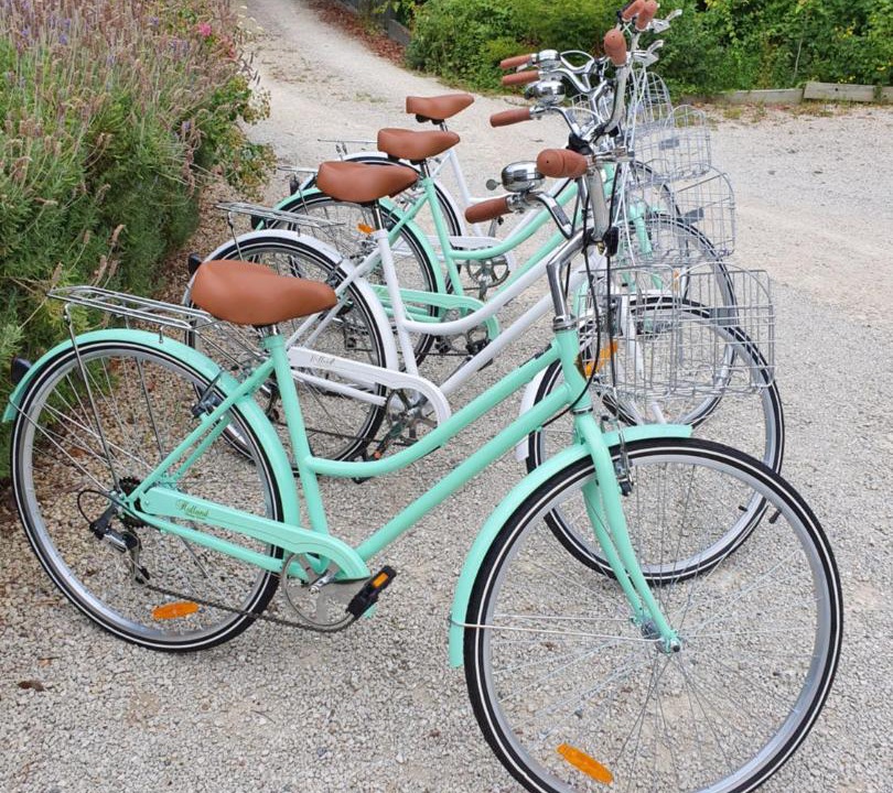 Photo of Outdoor in Martinborough