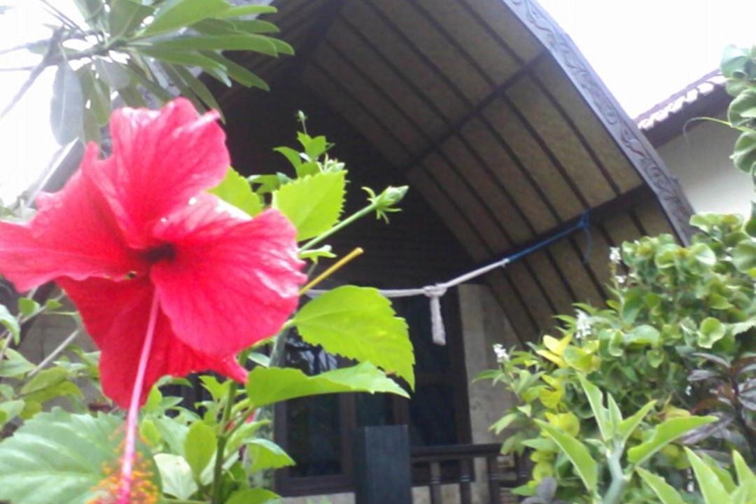 Photo of Others in Gili Air