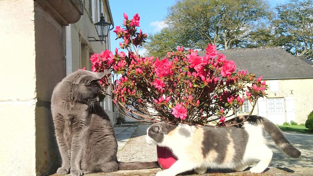 Photo of Outdoor in Crouay