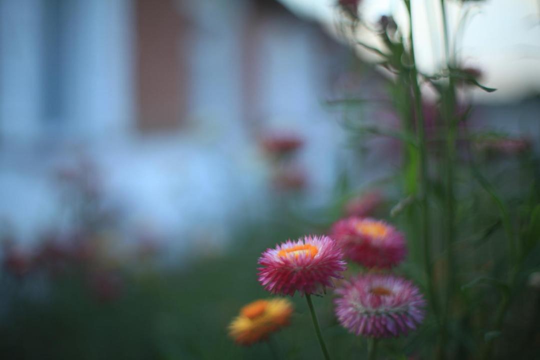 Photo of Others in Folembray