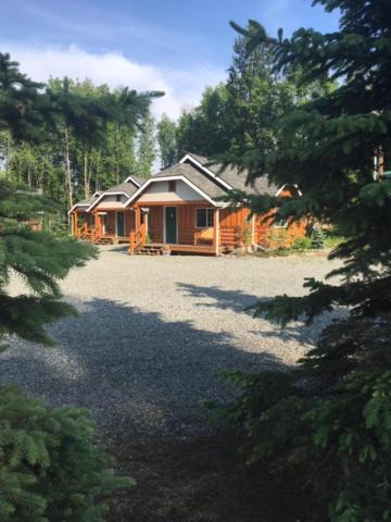 Photo of Others in Talkeetna