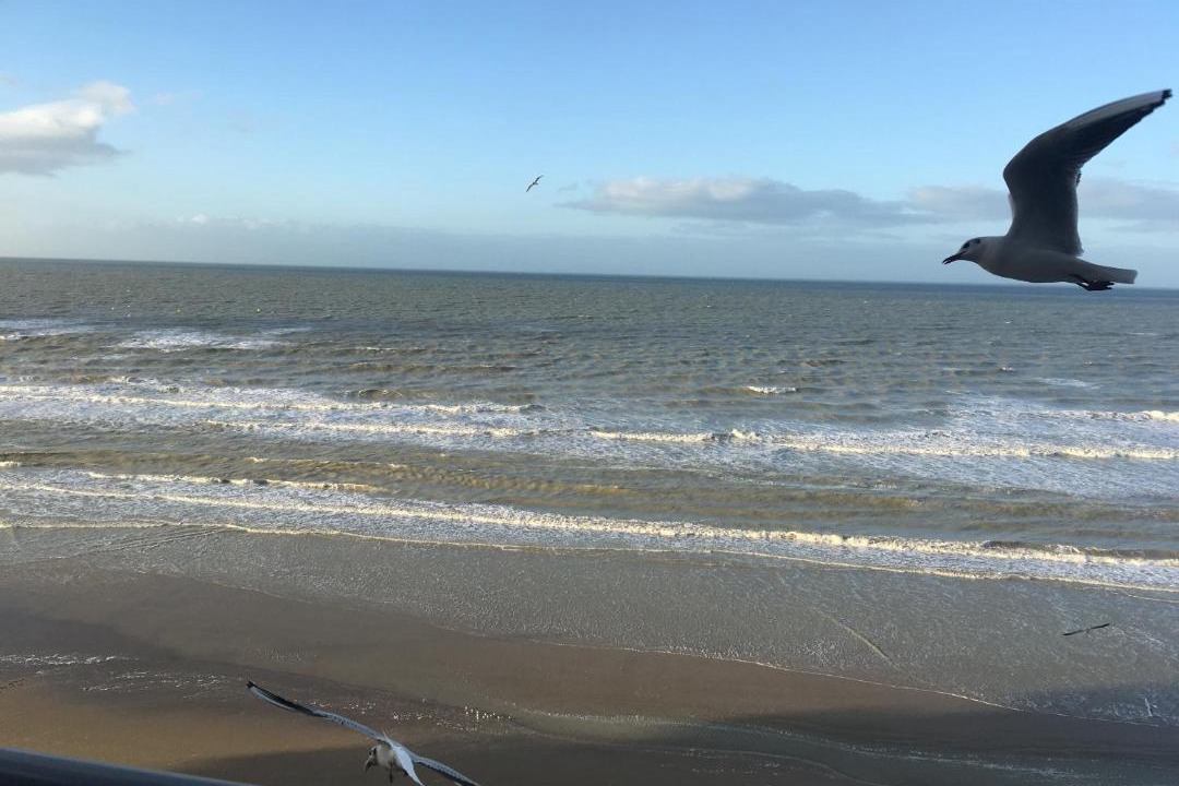 Photo of Outdoor in Bray-Dunes