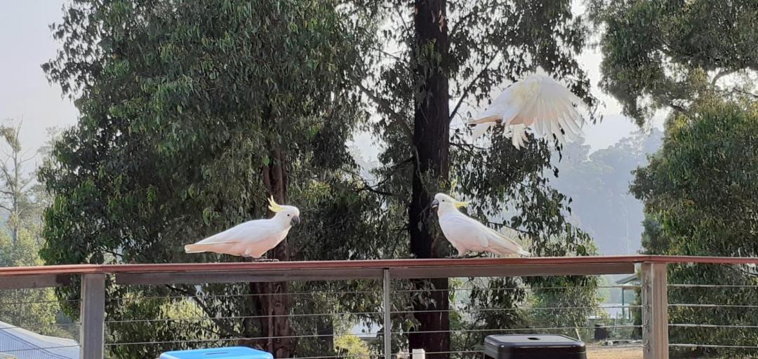 Photo of Others in Marysville