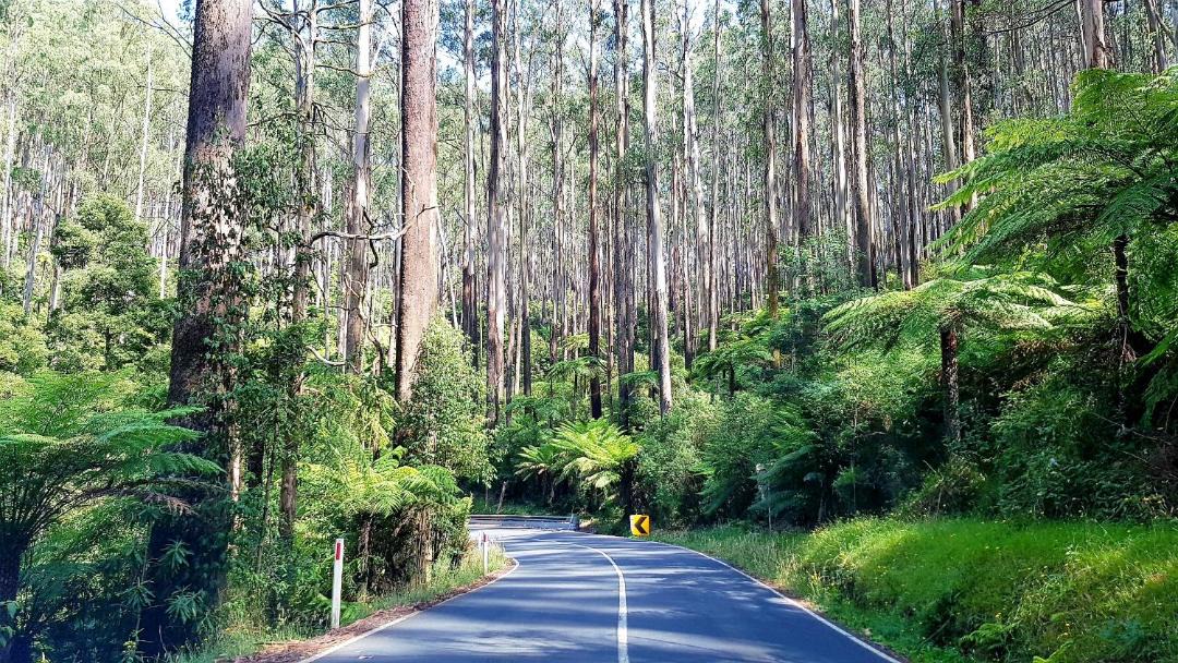 Photo of Others in Marysville