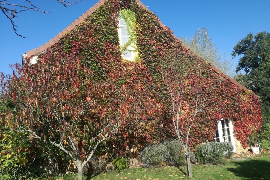 Photo of Others in Anzy-le-Duc