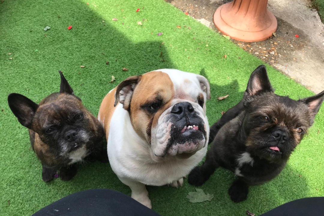 Photo of Others in Netley