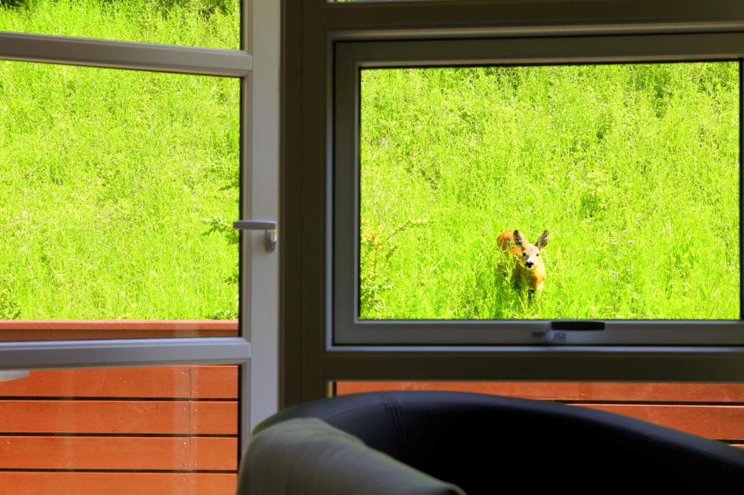 Photo of Others in Jyderup