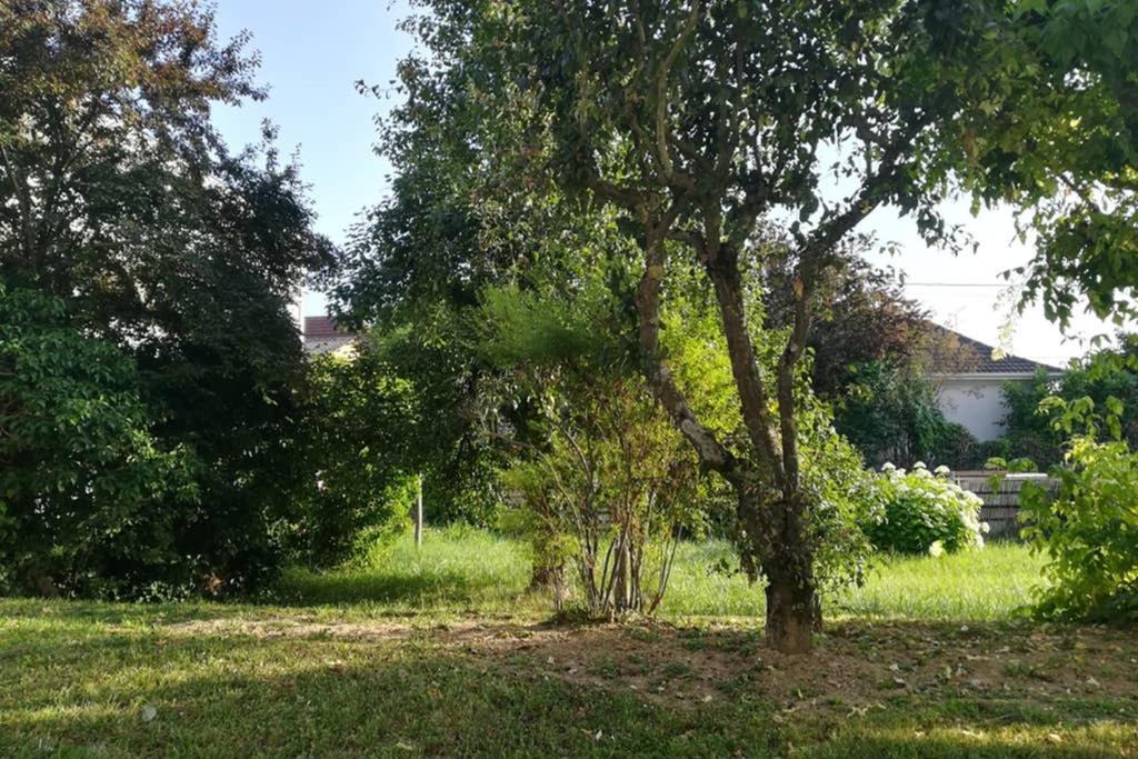 Photo of Outdoor in Brunstatt