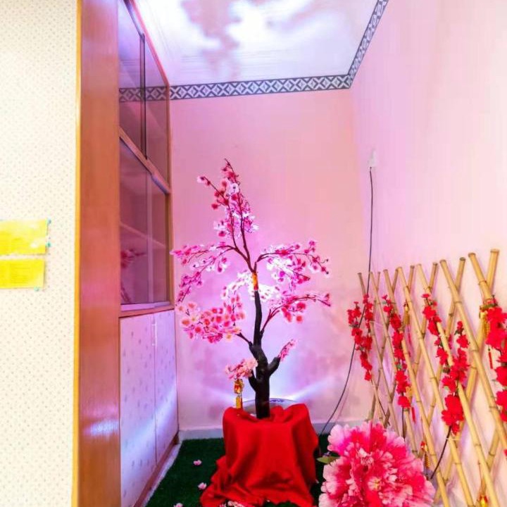 Photo of Others in Kampung Koh