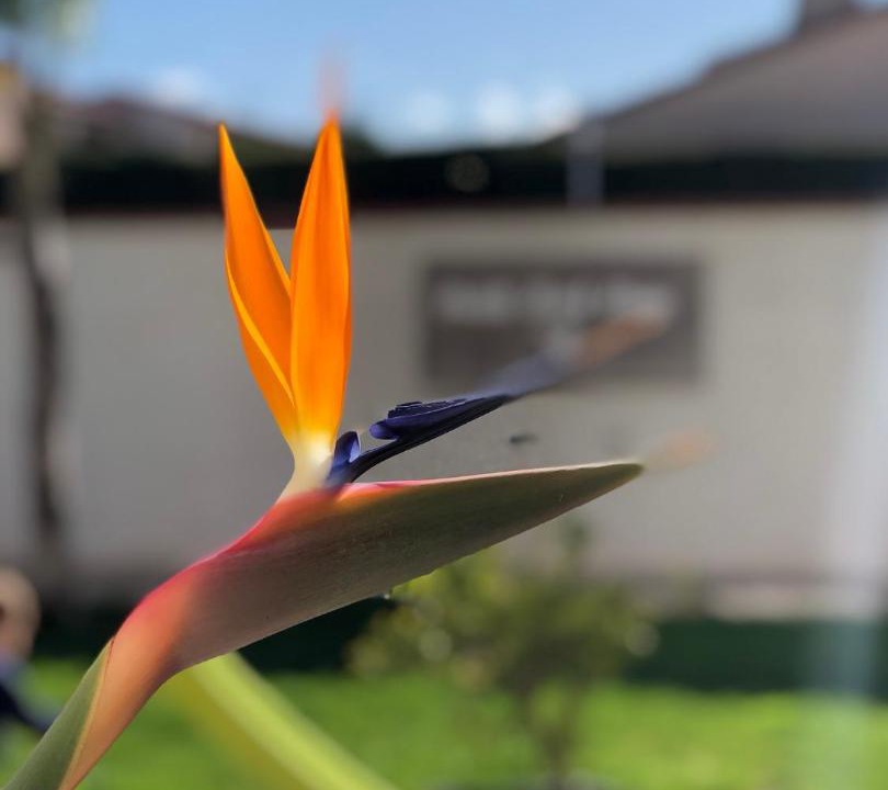 Photo of Others in Saint-Cyprien Plage