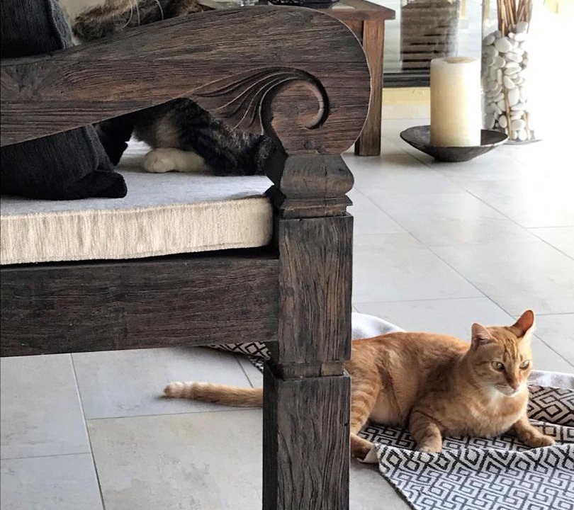 Photo of Others in Ulu Melaka