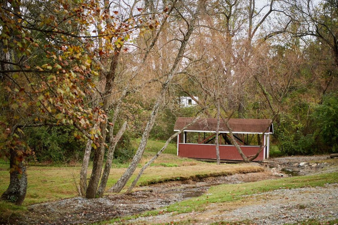 Photo of Others in Lebanon