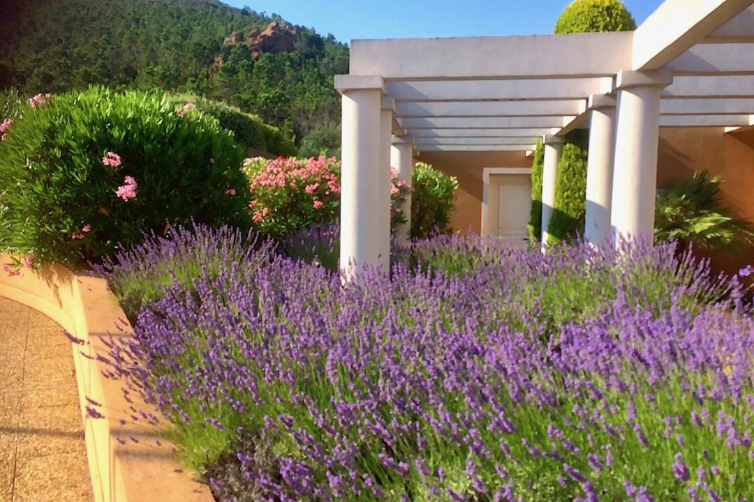 Photo of Buildings in Theoule-Superieur