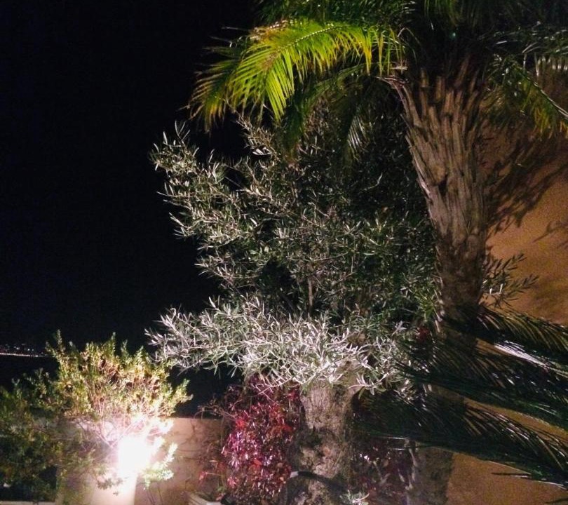 Photo of Others in Theoule-Superieur