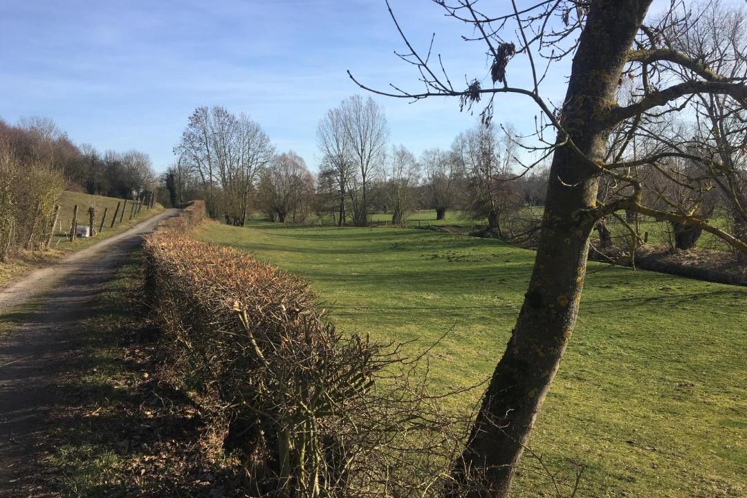 Photo of Others in Louvignies-Quesnoy