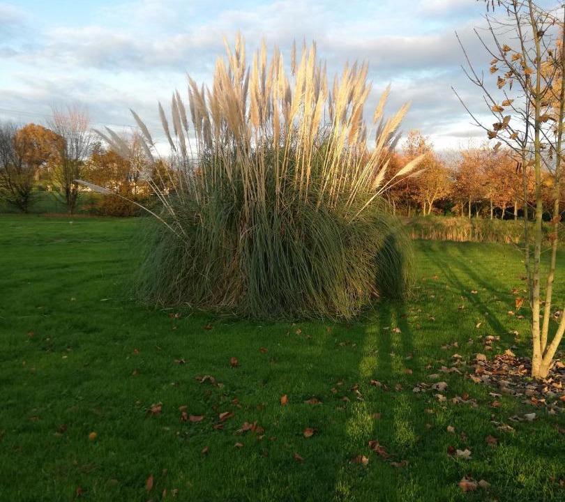 Photo of Others in Feneu