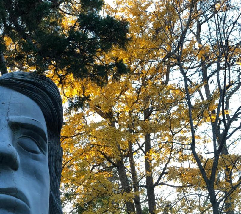 Photo of Outdoor in Saint-Cyprien Plage