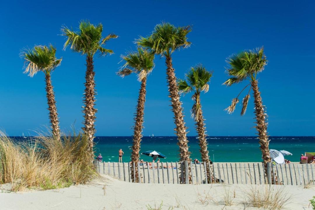 Photo of Outdoor in Saint-Cyprien Plage
