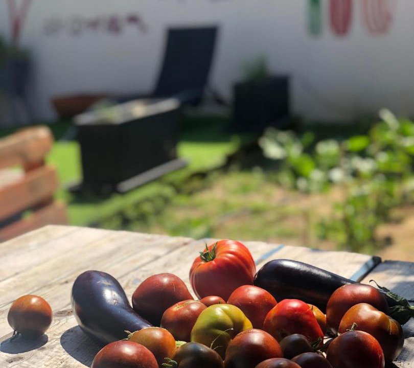 Photo of Livingroom in Saint-Cyprien Plage