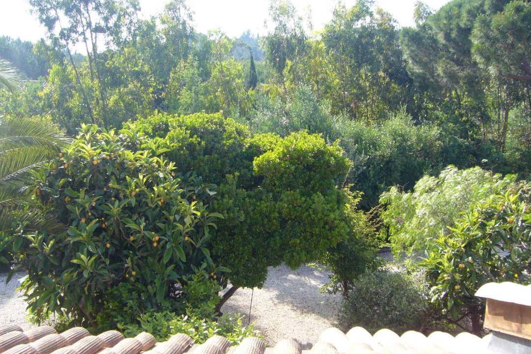 Photo of Others in La Croix-Valmer