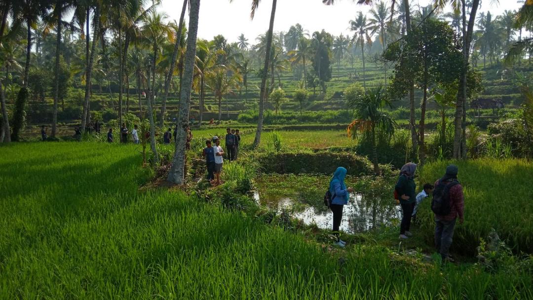 Photo of Others in Kotaraja
