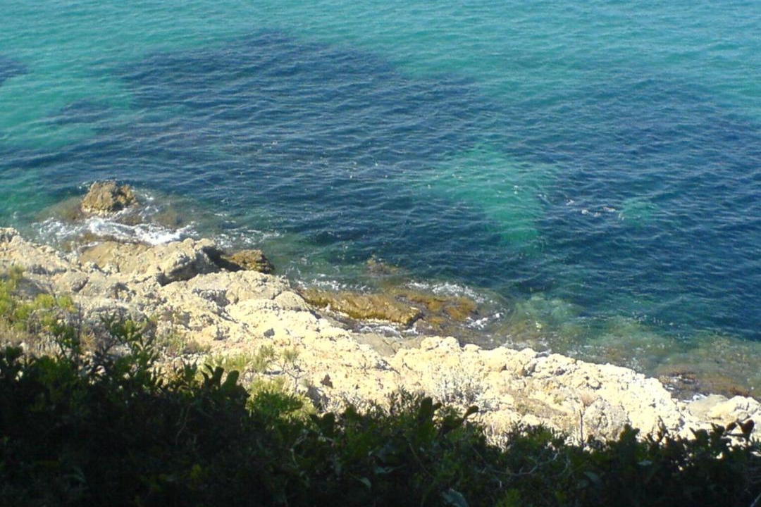 Photo of Others in La Croix-Valmer