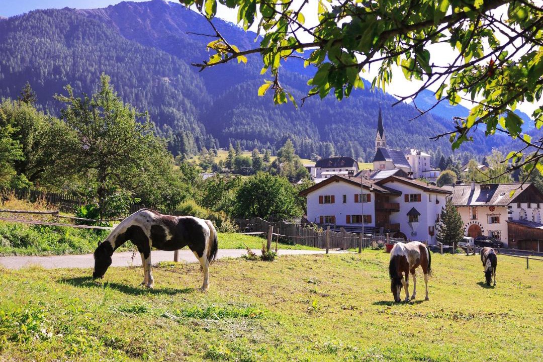 Photo of Others in Val Muestair