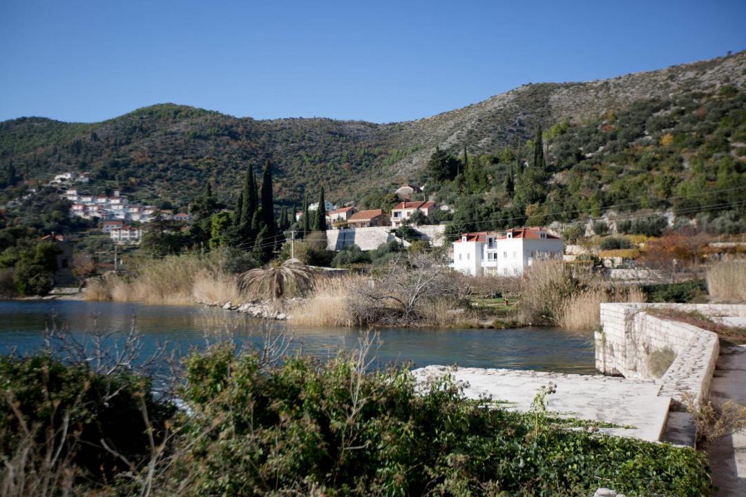 Photo of Others in Zaton