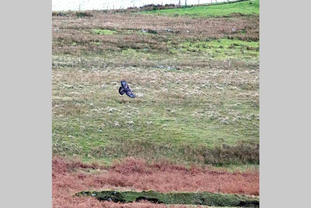 Photo of Others in Stein