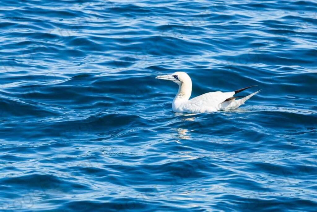 Photo of Outdoor in Stein