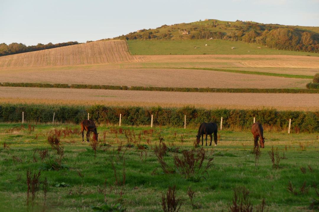 Photo of Others in Audembert