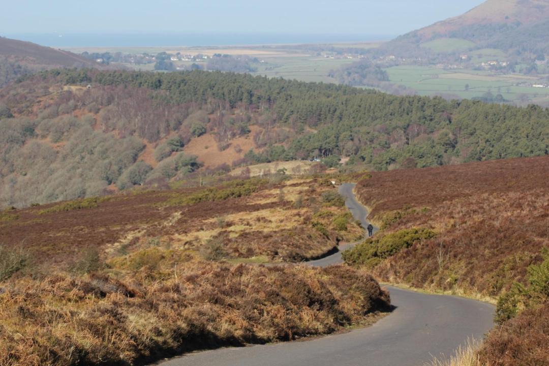 Photo of Others in Dunster