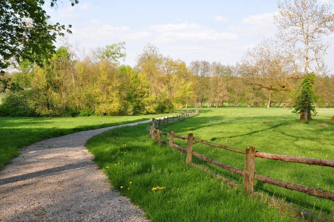 Photo of Others in Basse-Rentgen