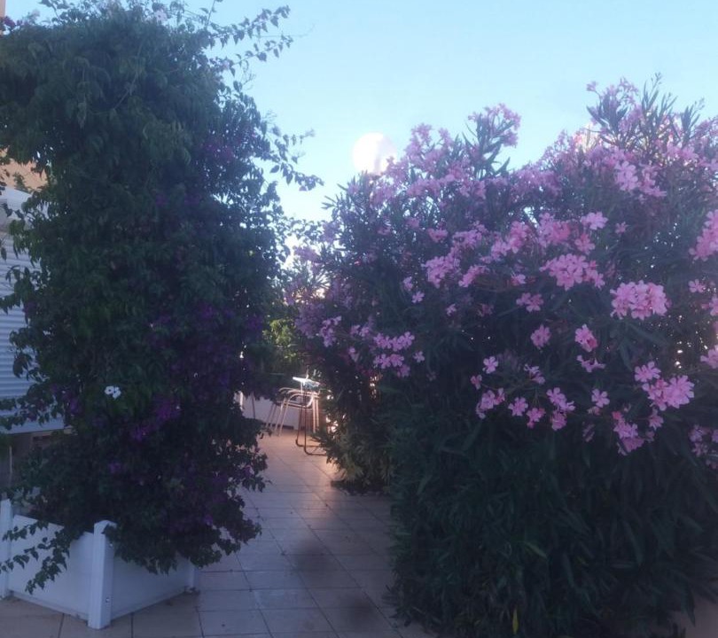 Photo of Others in Les Bormettes