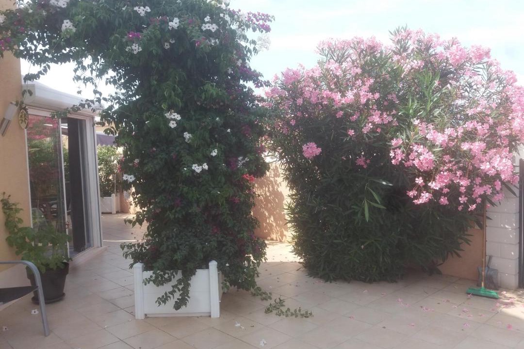 Photo of Others in Les Bormettes