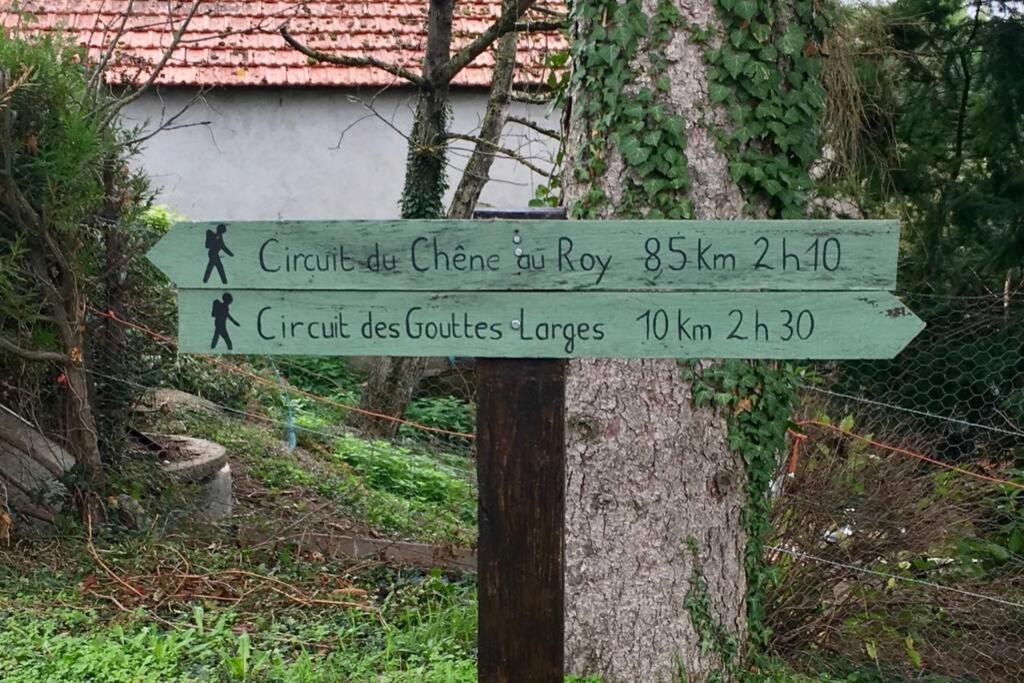 Photo of Others in Lanty