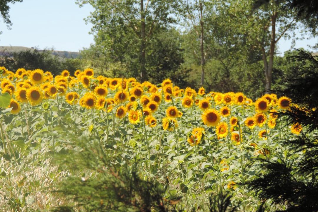 Photo of Others in Laurabuc