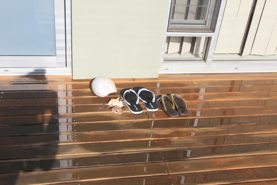 Photo of Others in Moana