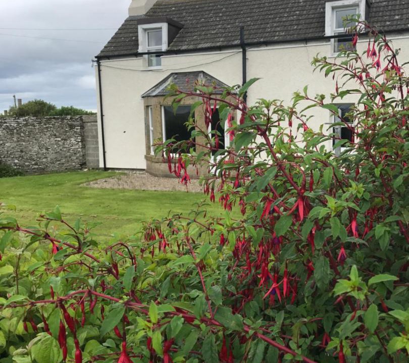 Photo of Others in Hunspow