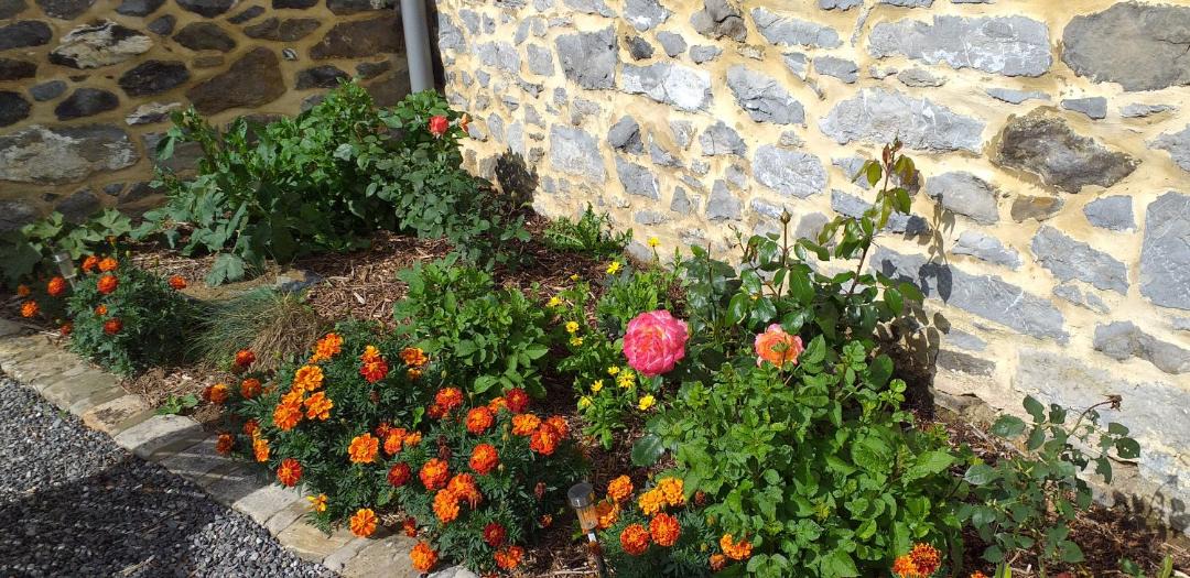 Photo of Others in Lez-Fontaine