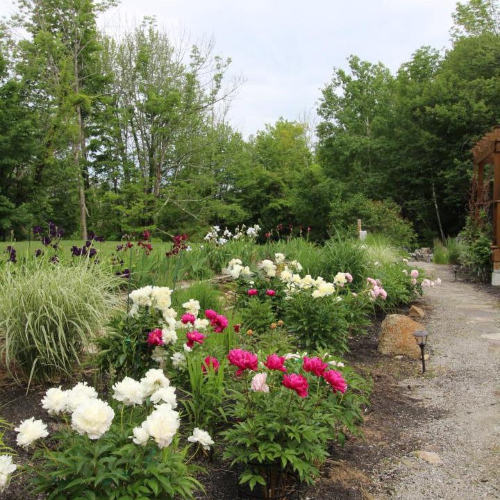 Photo of Others in Meredith