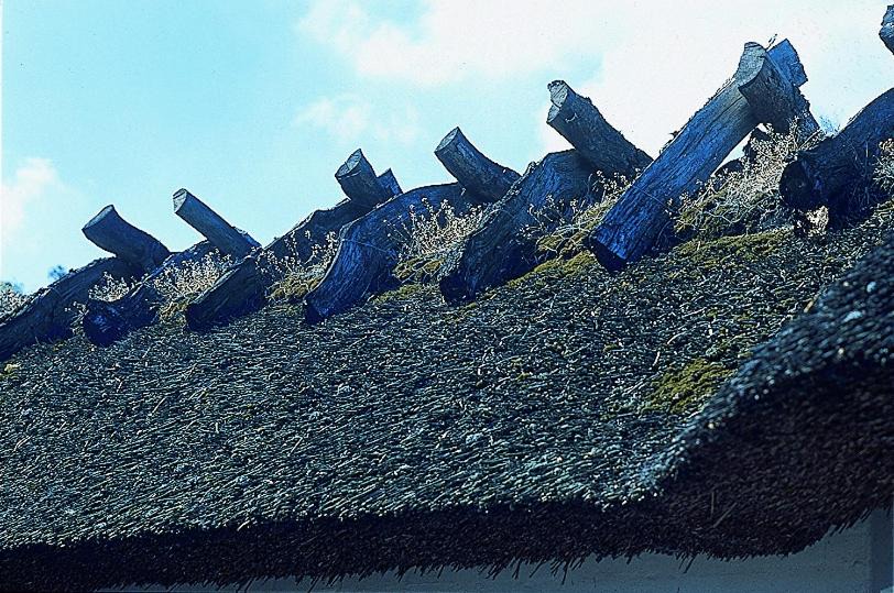 Photo of Others in Store Binderup