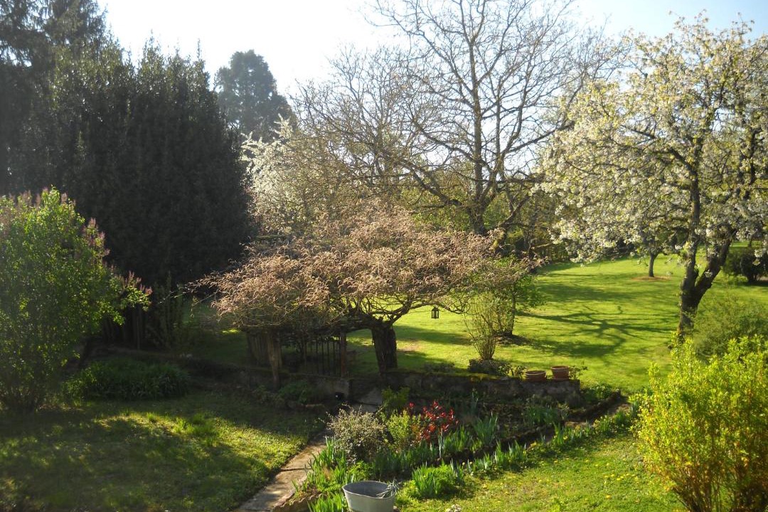 Photo of Others in Chevannes