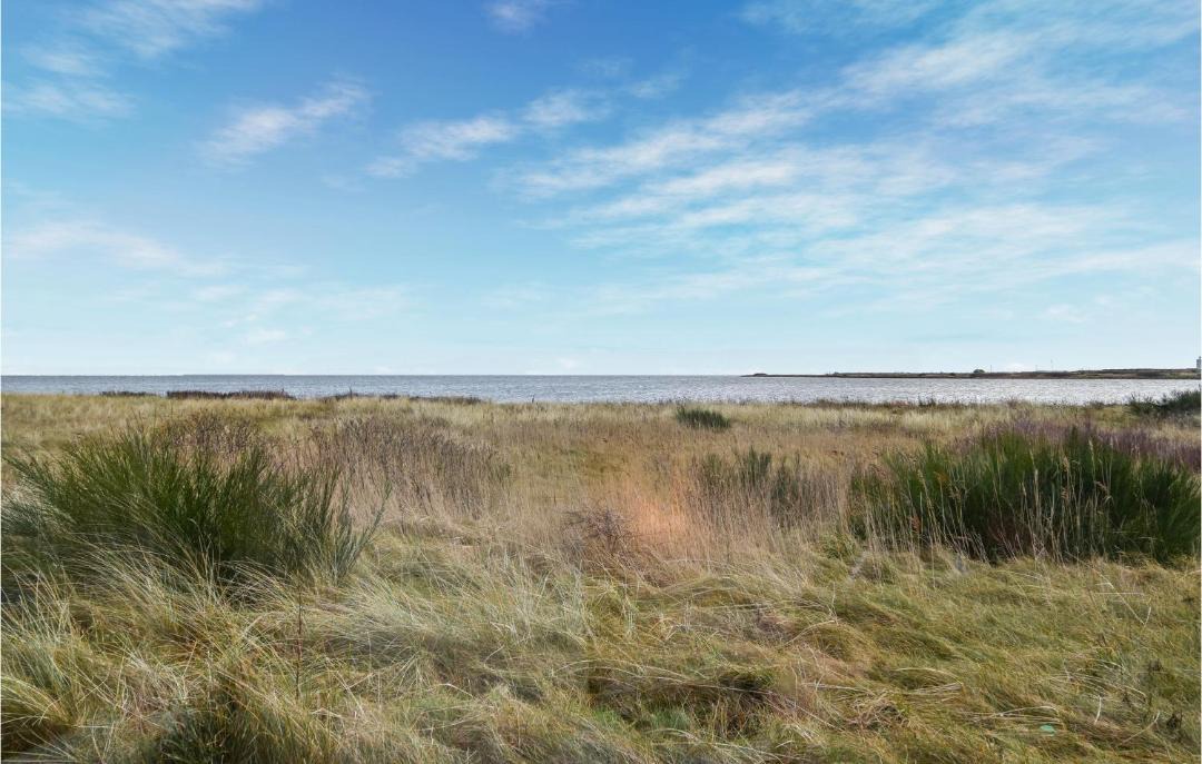 Photo of Outdoor in Hvide Sande
