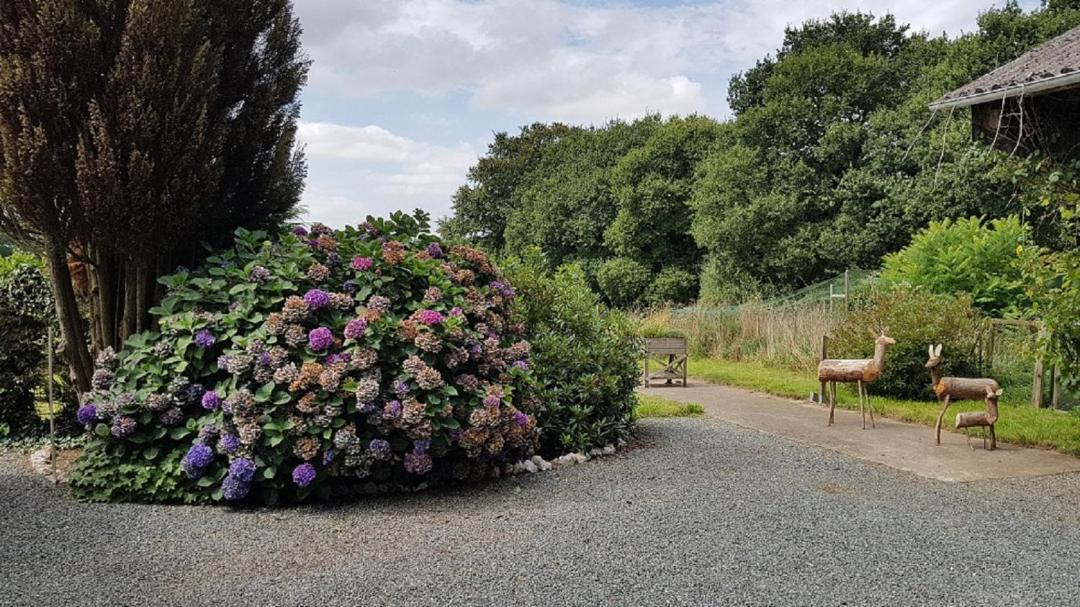 Photo of Outdoor in Trebrivan