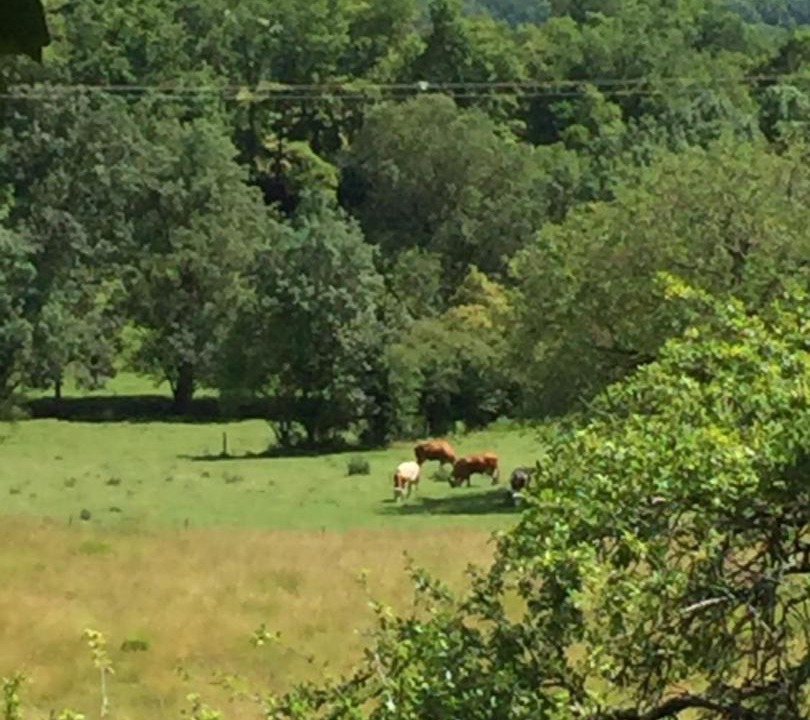 Photo of Others in Saint-Paul-Lizonne